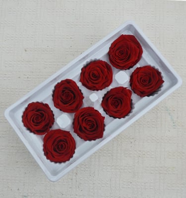 Preserved Flower