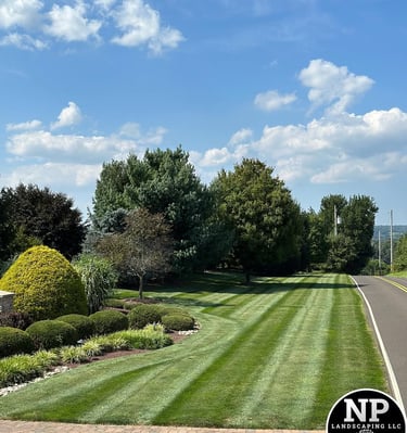 excellent landscaping and hardscaping of grass, stones and trees by NP Landscaping