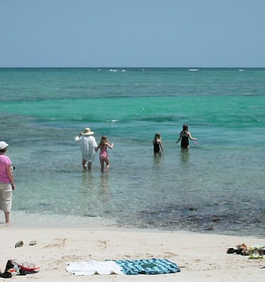 Asesoria en viajes. Playas del caribe mexicano, cancún, puerto morelos, playa del carmen. 