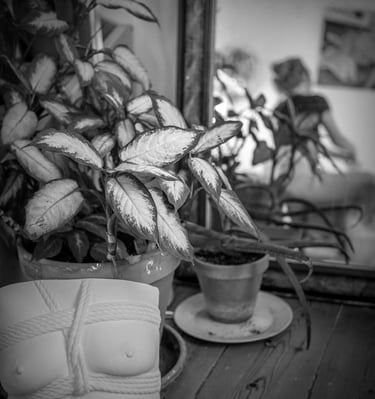 Moulage poitrine shibari  - Moulage intime Bordeaux