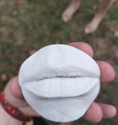 Moulage bouche en plâtre  - Moulage intime Bordeaux