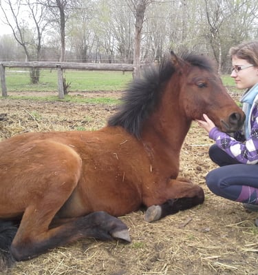 Gyerekek állatszeretete