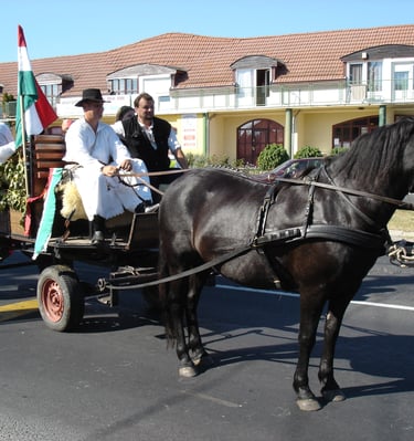 Szüreti felvonulás Gyenesdiás