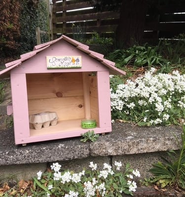 a small wooden egg box storage hut