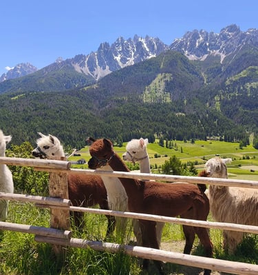 Benessere e Supporto Emotivo