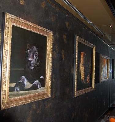 Metallic Plaster on Walls