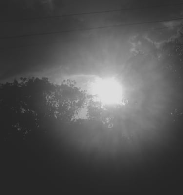 Resplandor solar entre siluetas de árboles bajo un cielo nublado.