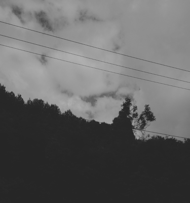Bosque en silueta bajo un cielo nublado con cables de alta tensión.