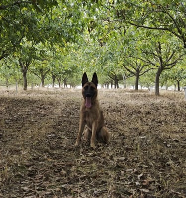 Ares pozira za fotografiju