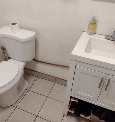 Clean toilet and floor