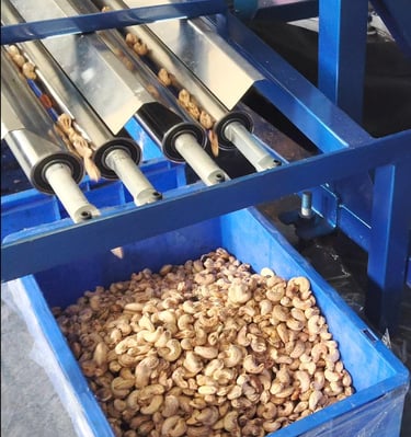 cashew kernel roller