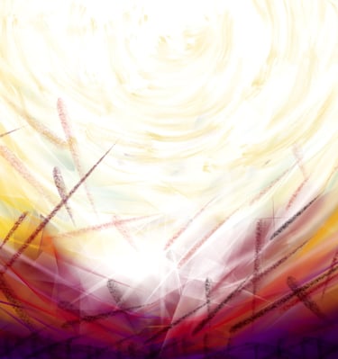 Serie “Liberazione”