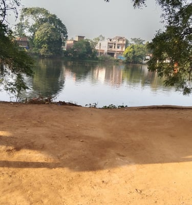 pond
