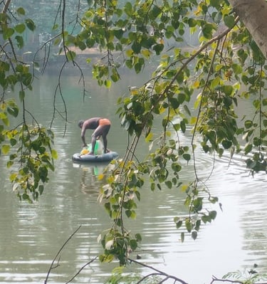 a man catching fish