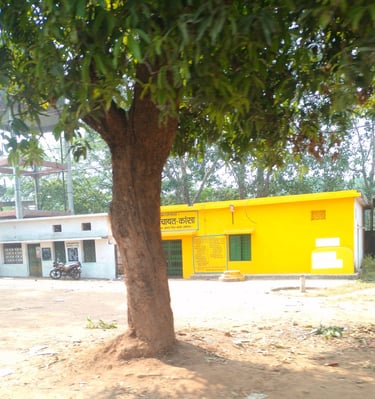 mango tree front of grampanchayat bhavan