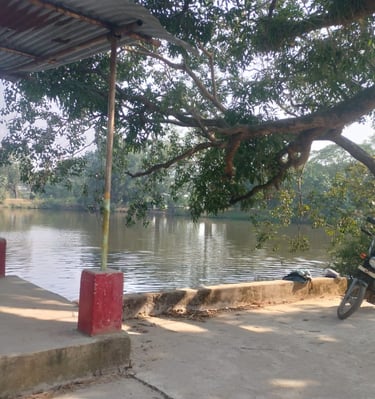 image of pond