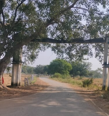 swagat gate of Salhe