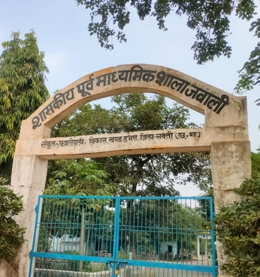 gate of school