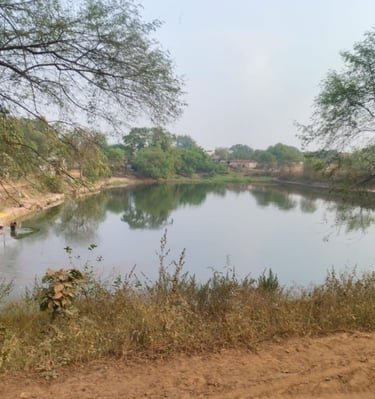 pond
