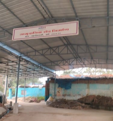 image of tin shad
