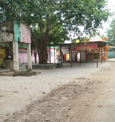 image of tin shad and water tank