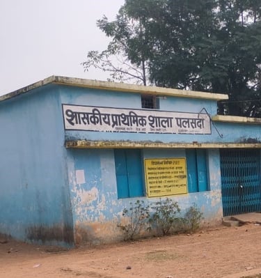 primary school palsada