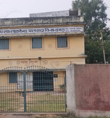 swasthya kendar palsada