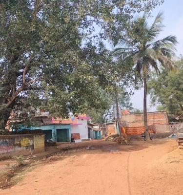 a big date tree