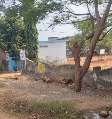 image of boundry wall and tree