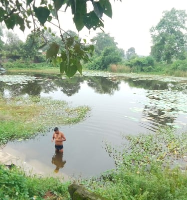 pond