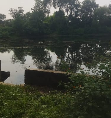 pond