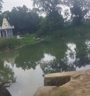 pond