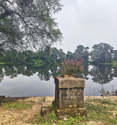 pond