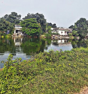 pond