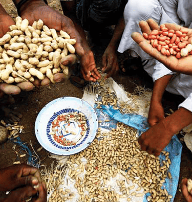 groundnut's 