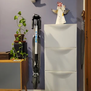 review wall mount plant