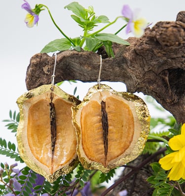 jacaranda seedpod earrings with gold foil trim