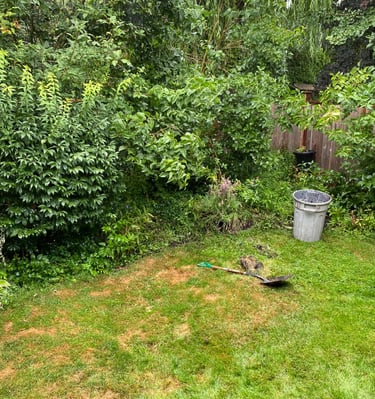 unkept and overgrown flower bed