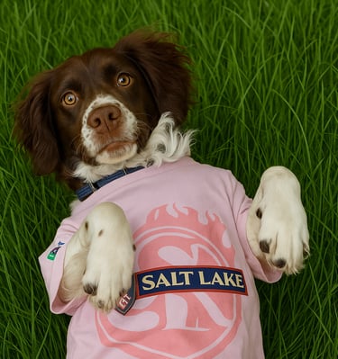 brittany spaniel in grass wearing pink shirt of real salt lake soccer team