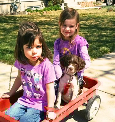 two young girls in wagon with a puppy brittany spaniel dog