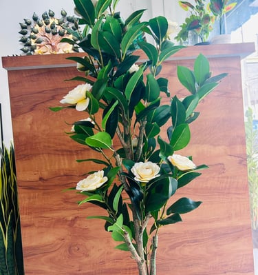 Artificial Plants Shop Near Me