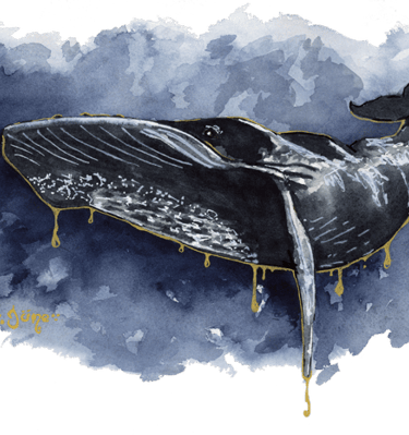 Baleine à l’aquarelle
