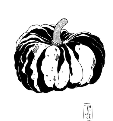 Une courge en noir et blanc