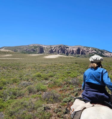 A person on horseback in a wide, open landscape with distant mountains.