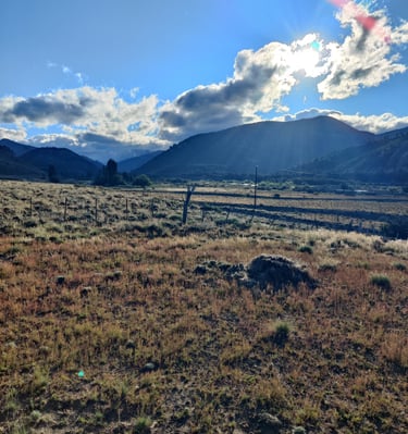 A scenic view of a field with mountains in the background.