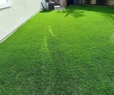 Korean lawn grass in Hyderabad