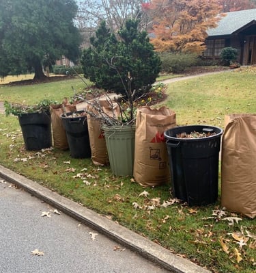 yard refuge piled along the street