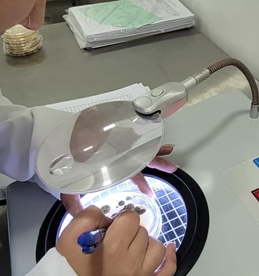 Profissionais do Laboratório AMB realizando análises laboratoriais em ambiente técnico equipado