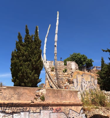 bijzondere planten in Faro stad