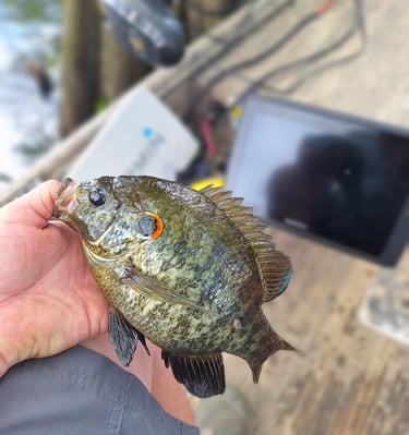 fishing guide